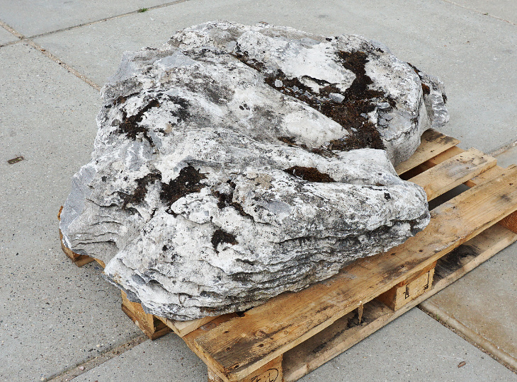 Ierse Kustensteen Kalksteen, Siersteen - YO06020095