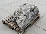 Koop Ierse Kustensteen Kalksteen, Siersteen te koop - YO06020099