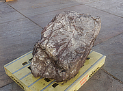 Koop Sanbaseki Steen, Japanse Siersteen te koop - YO06010189