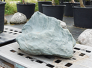 Koop Shikoku Steen, Japanse Siersteen te koop - YO06010314