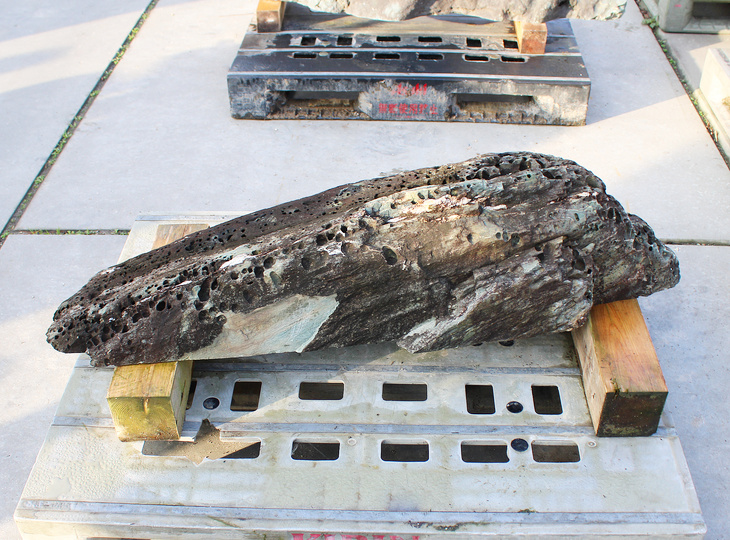 Shikoku Steen, Japanse Siersteen - YO06010566