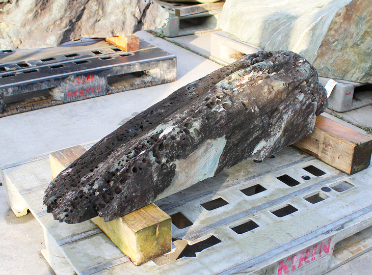 Shikoku Steen, Japanse Siersteen - YO06010566