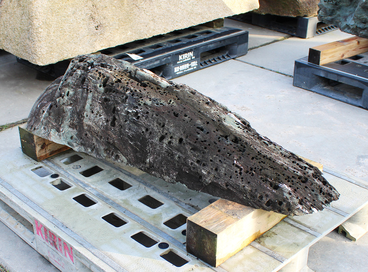 Shikoku Steen, Japanse Siersteen - YO06010566