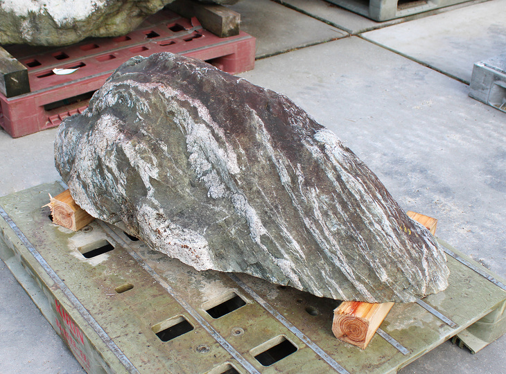 Koop Shikoku Steen, Japanse Siersteen te koop - YO06010568