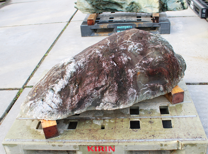 Shikoku Steen, Japanse Siersteen - YO06010568