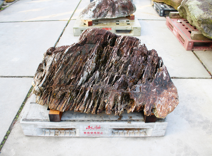 Shikoku Steen, Japanse Siersteen - YO06010569