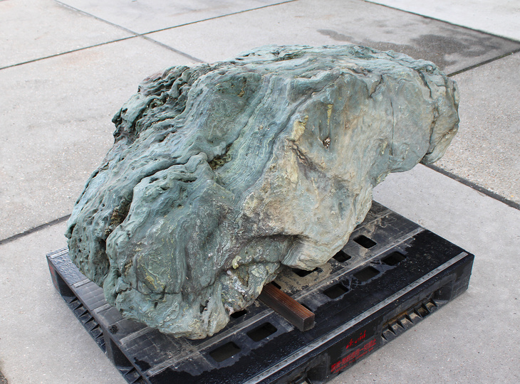 Shikoku Steen, Japanse Siersteen - YO06010575