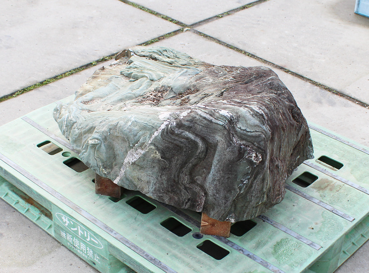 Shikoku Steen, Japanse Siersteen - YO06010585