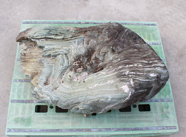 Shikoku Steen, Japanse Siersteen - YO06010585