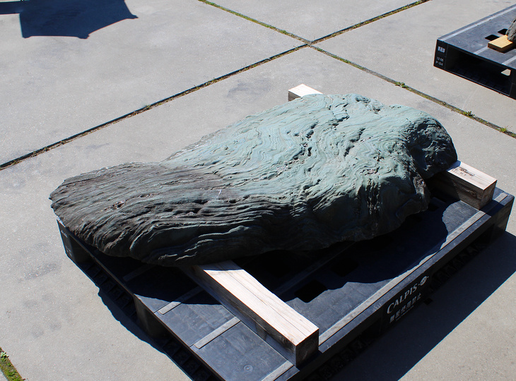 Shikoku Steen, Japanse Siersteen - YO06010610