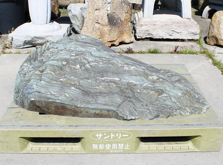 Shikoku Steen, Japanse Siersteen - YO06010615