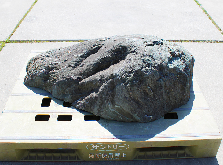 Shikoku Steen, Japanse Siersteen - YO06010615