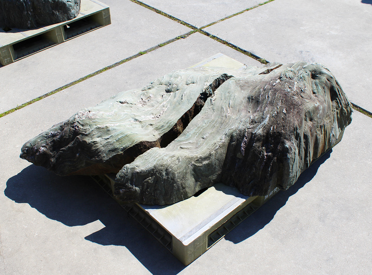 Shikoku Steen, Japanse Siersteen - YO06010616