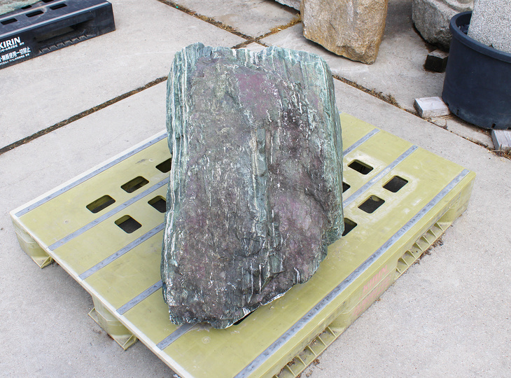 Shikoku Steen, Japanse Siersteen - YO06010625