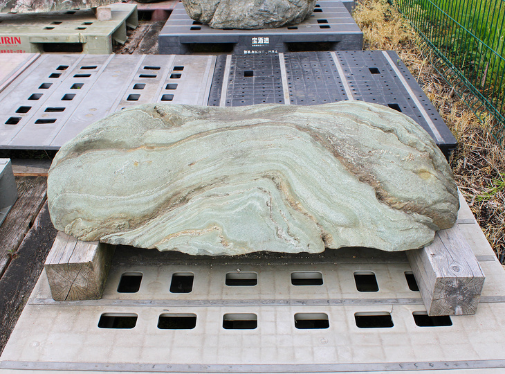Shikoku Steen, Japanse Siersteen - YO06010635