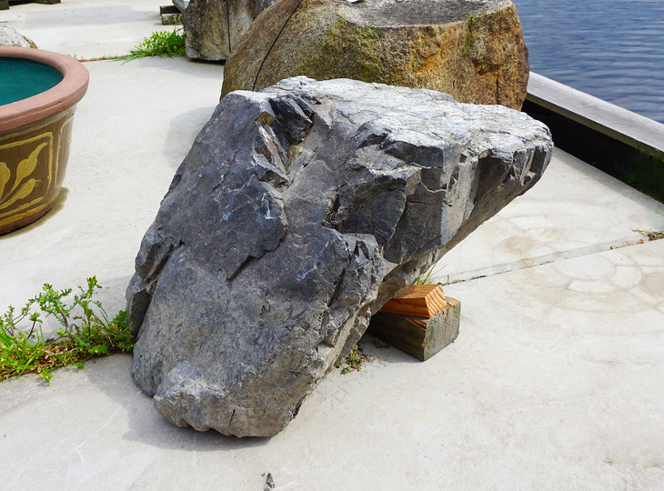 Ibiguro Daiseki, Japanese Display Stone - YO07010162