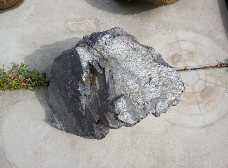 Ibiguro Daiseki, Japanese Display Stone - YO07010162