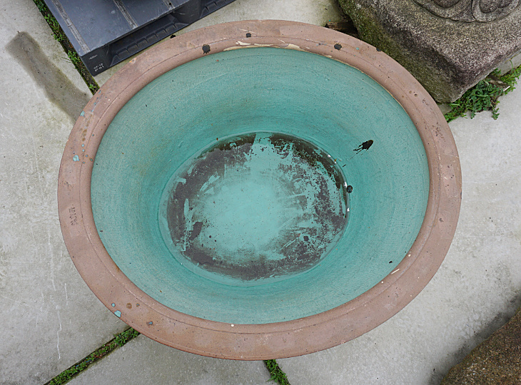 Ikimono Mizubachi, Traditional Japanese Water Pot - YO07010153
