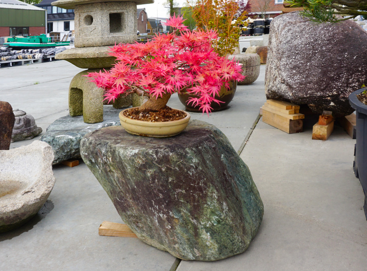 Shikoku Daiseki, Japanese Display Stone - YO07010159
