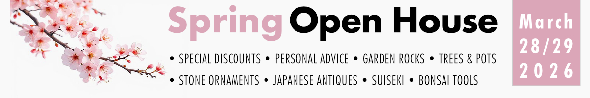 Check-out-our-unique-one-of-a-kind-exclusive-item-here Check-out-our-unique-one-of-a-kind-exclusive-item-here