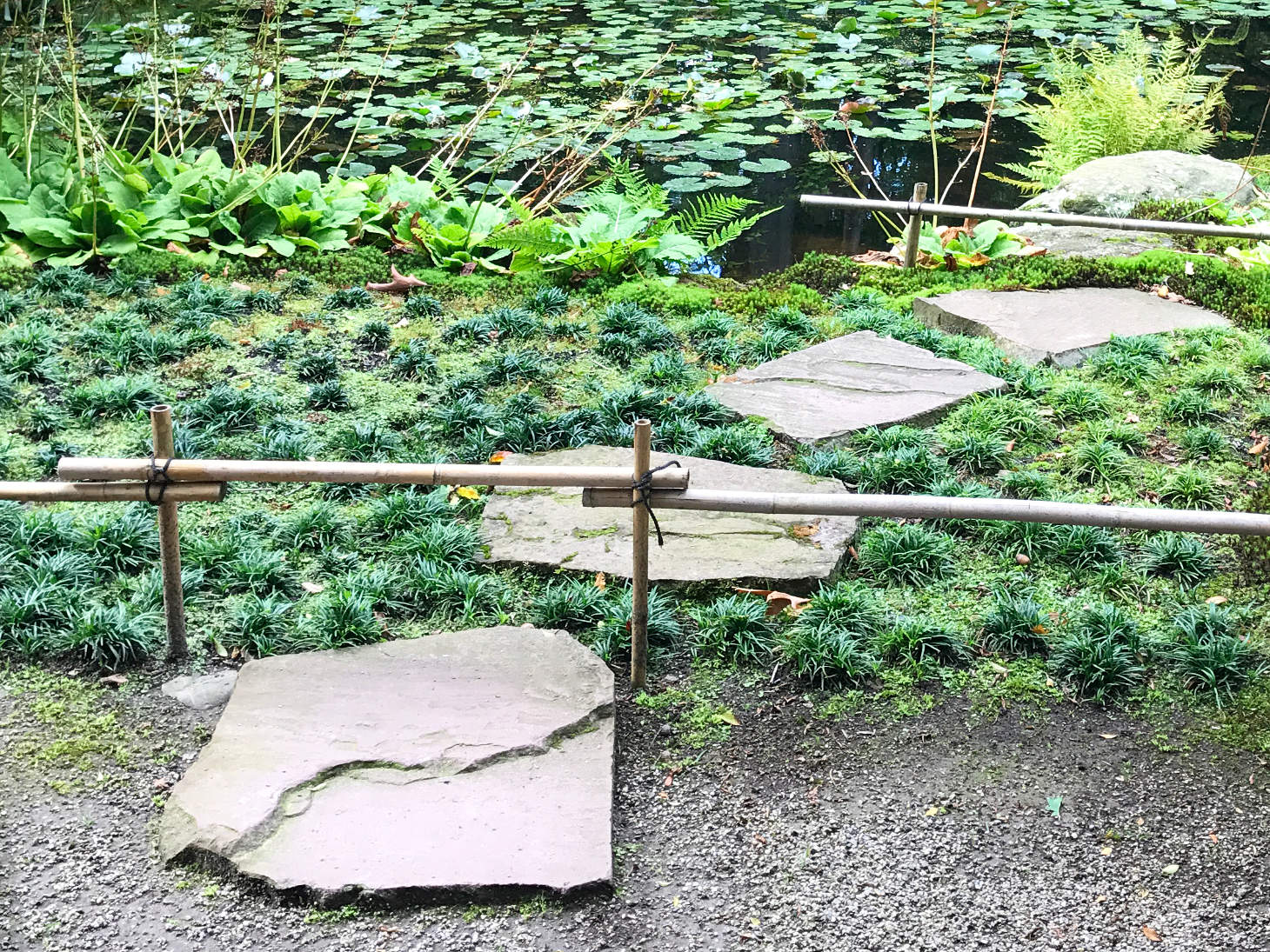 Japanese Garden Clingendael Pond Fence