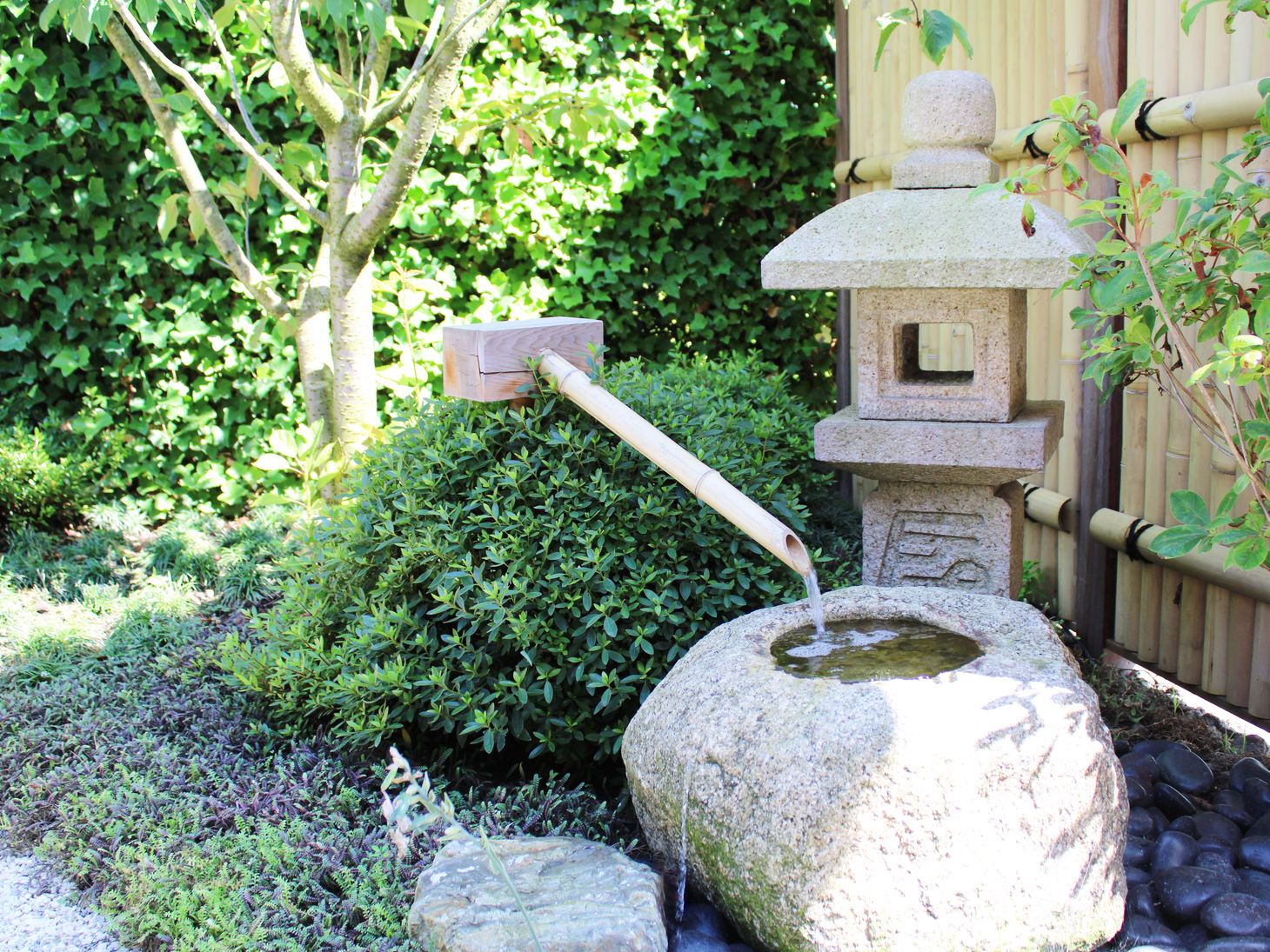 Japanse Tsukubai-opstelling met een Oribe-lantaarn en Kakehi Bamboe-uitloop in een Japanse Tuin