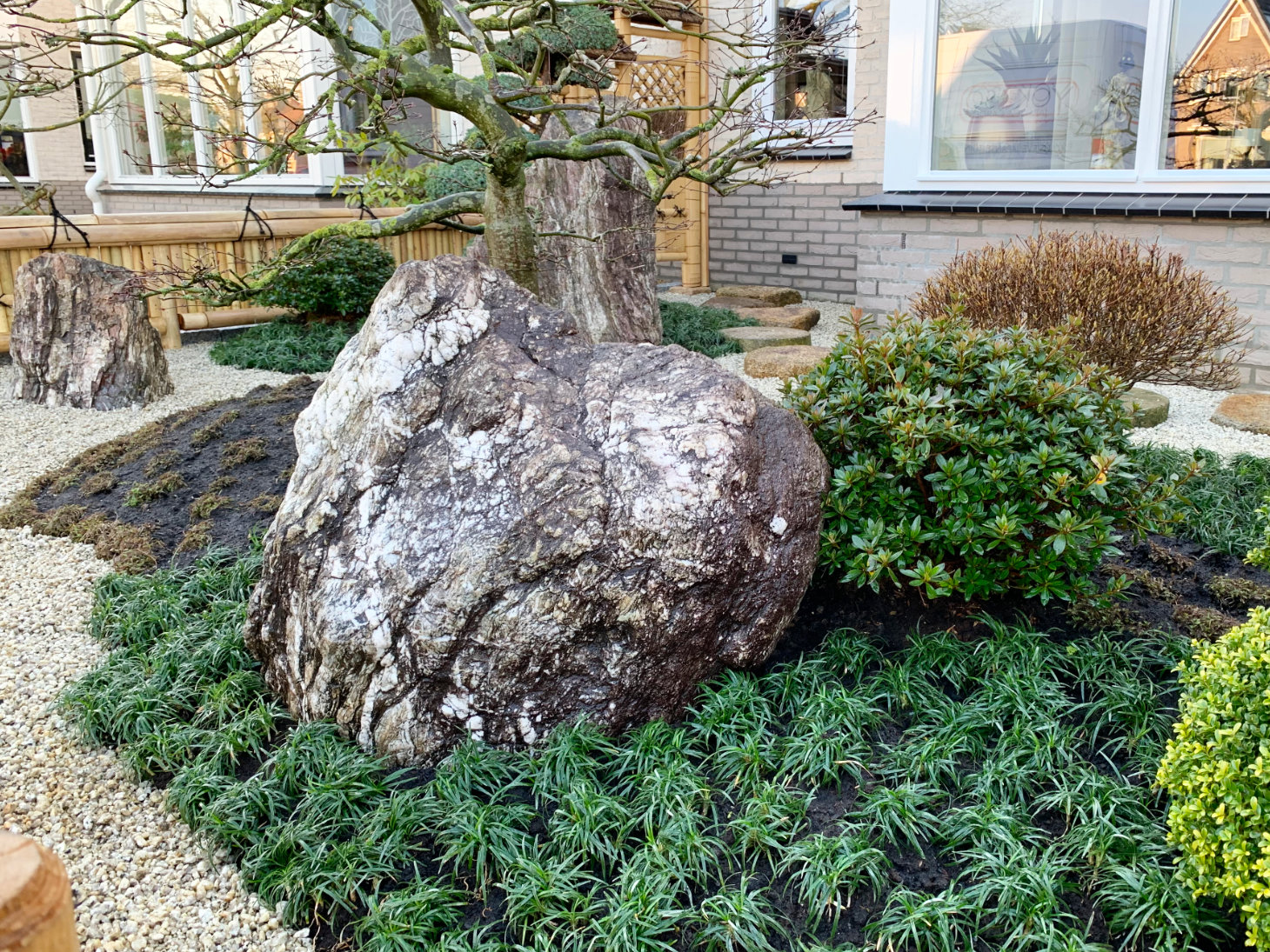 Japanese Front Garden Rock Tree