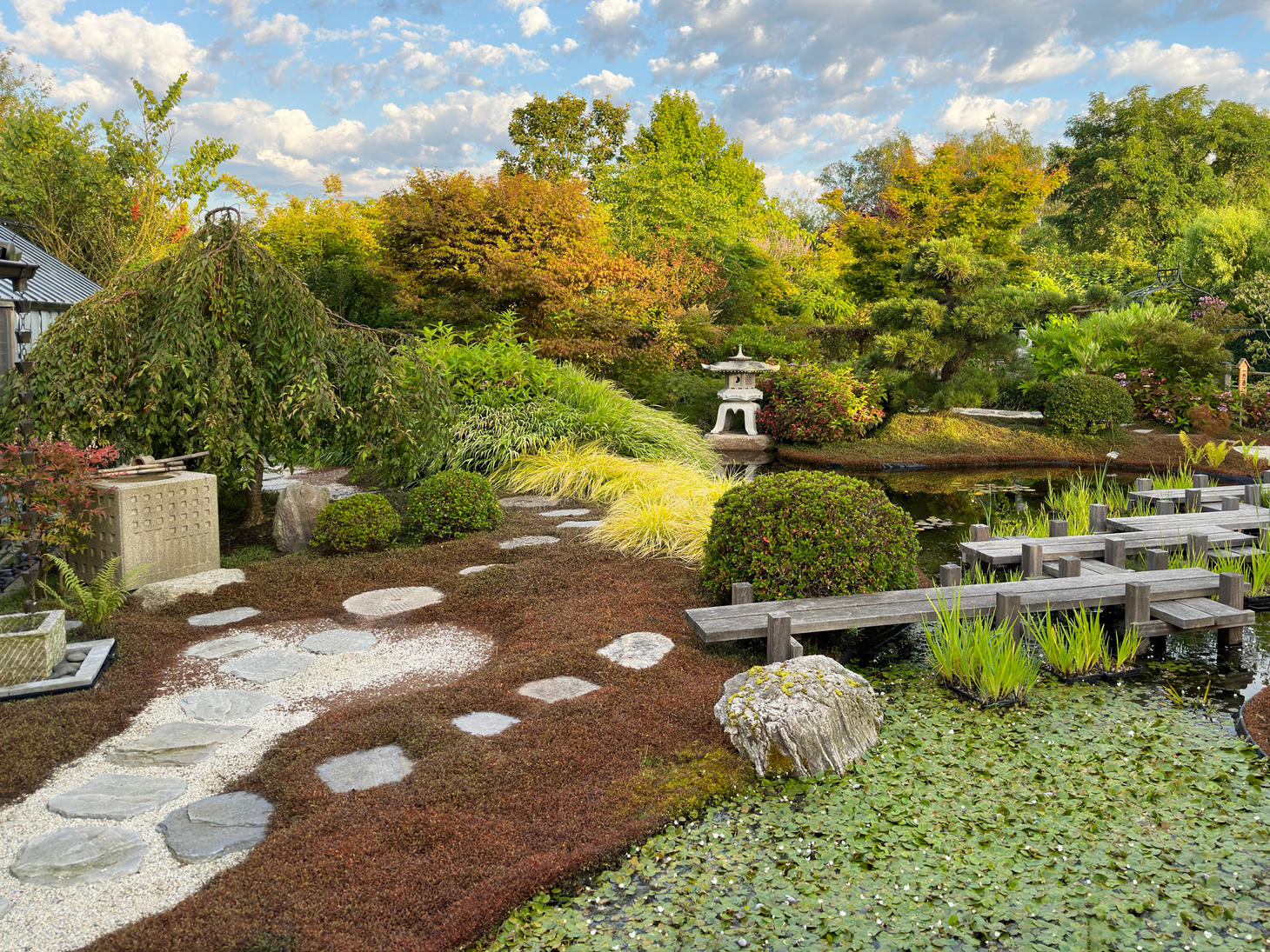 Japanese pond garden featuring a Yatsuhashi wooden bridge and Yukimi lantern