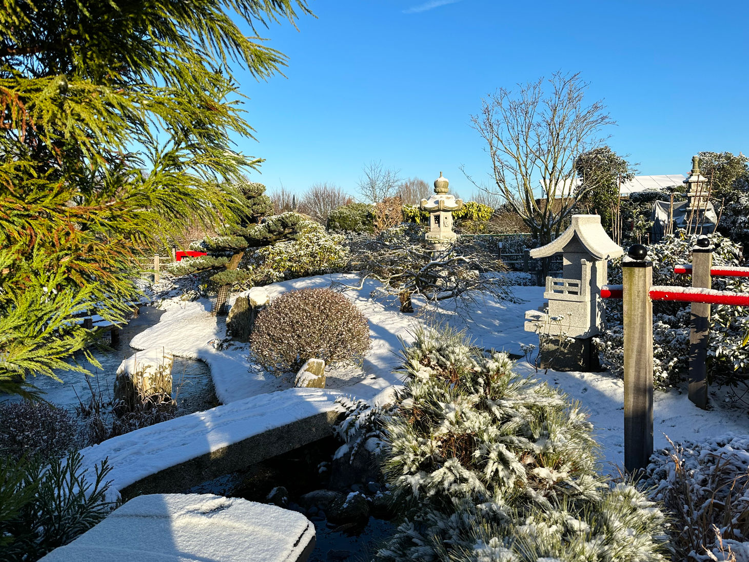 A Japanese garden covered in snow during the winter season in Belgium