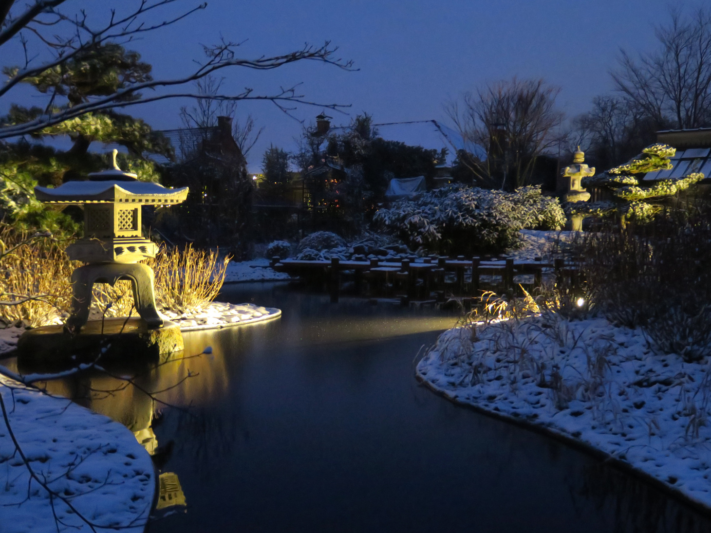 A Japanese pond garden covered in snow during winter at night