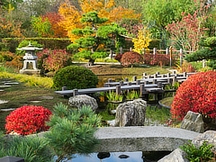 a Japanese Strolling Garden featuring a large pond in Belgium