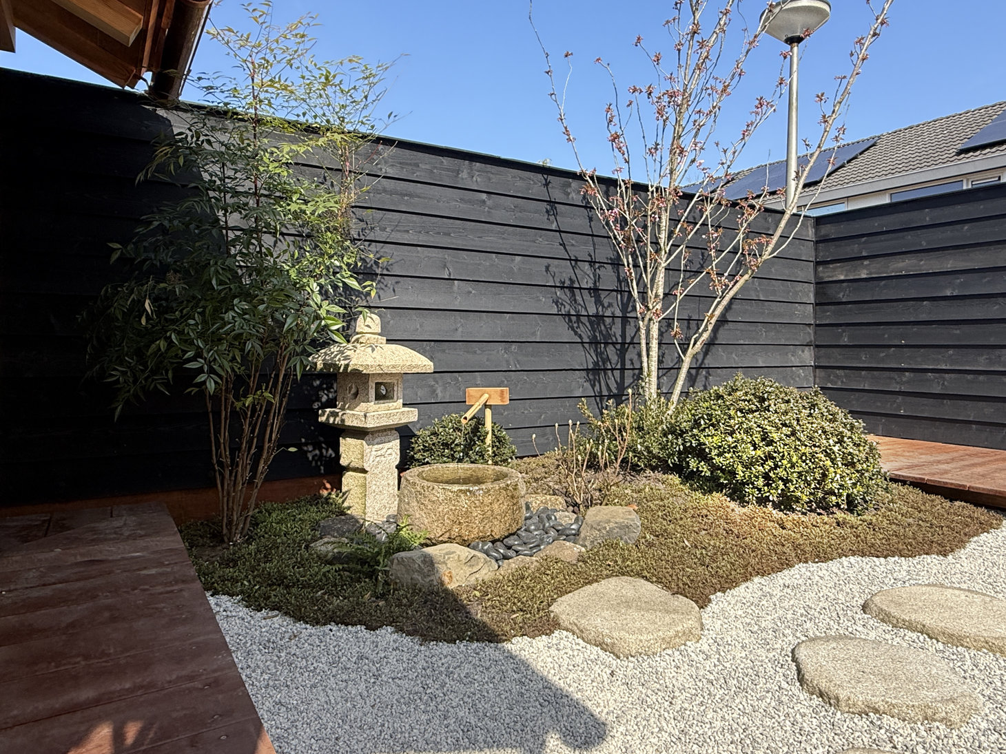 Japanese trees in a roji tea garden next to the Tsukubai water ornament