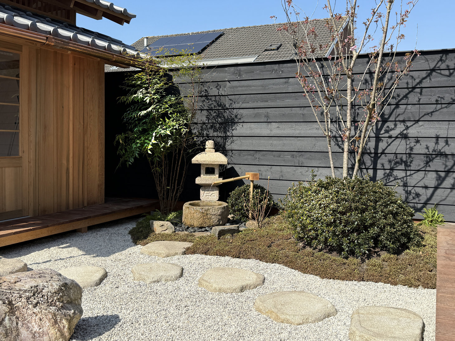 Japanese greenery and trees in a Roji tea garden next to a Tsukubai