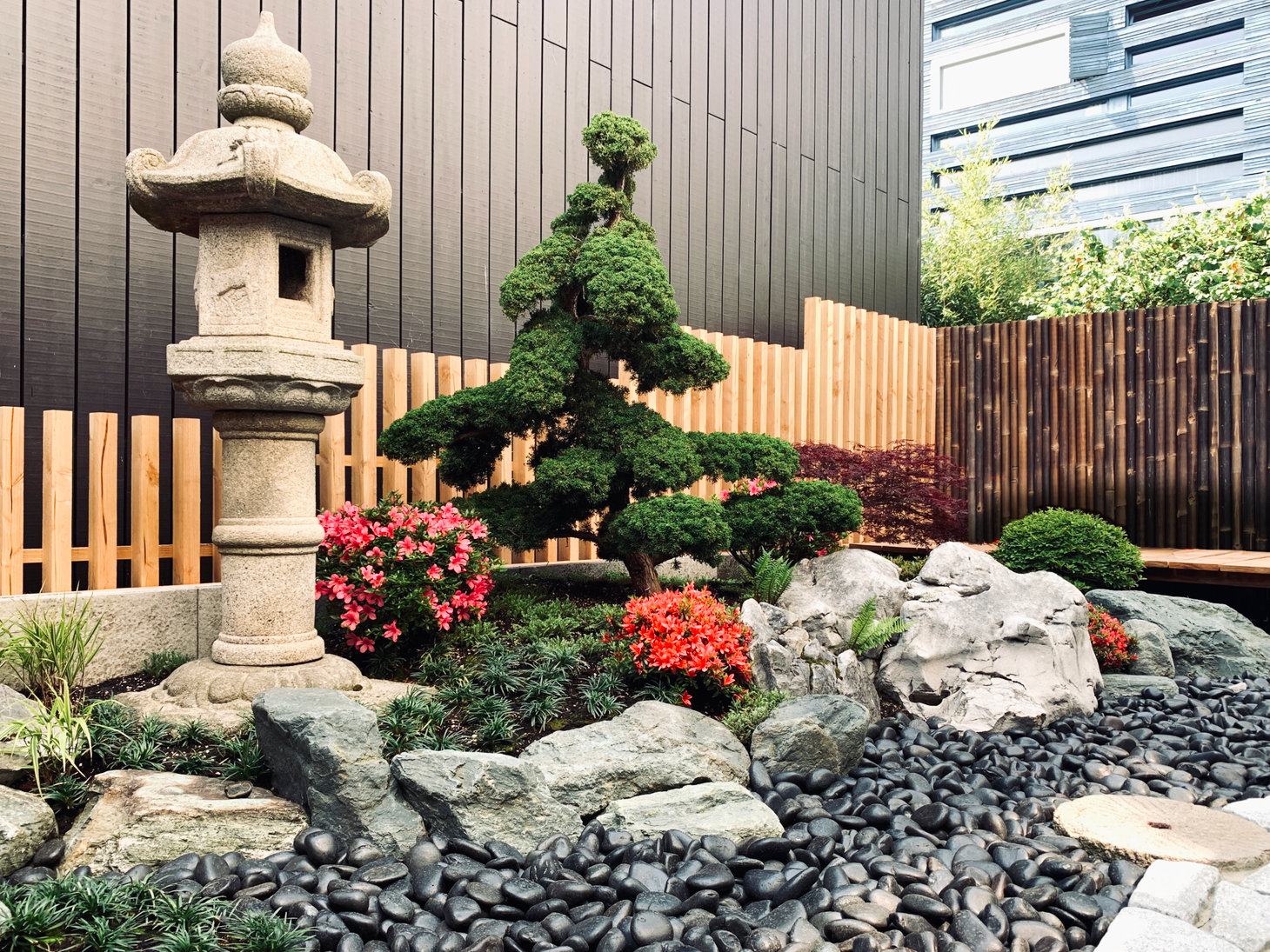 Een hoogwaardige Japanse tuin voor een moderne woning in Amsterdam met een stenen lantaarn en jeneverbes