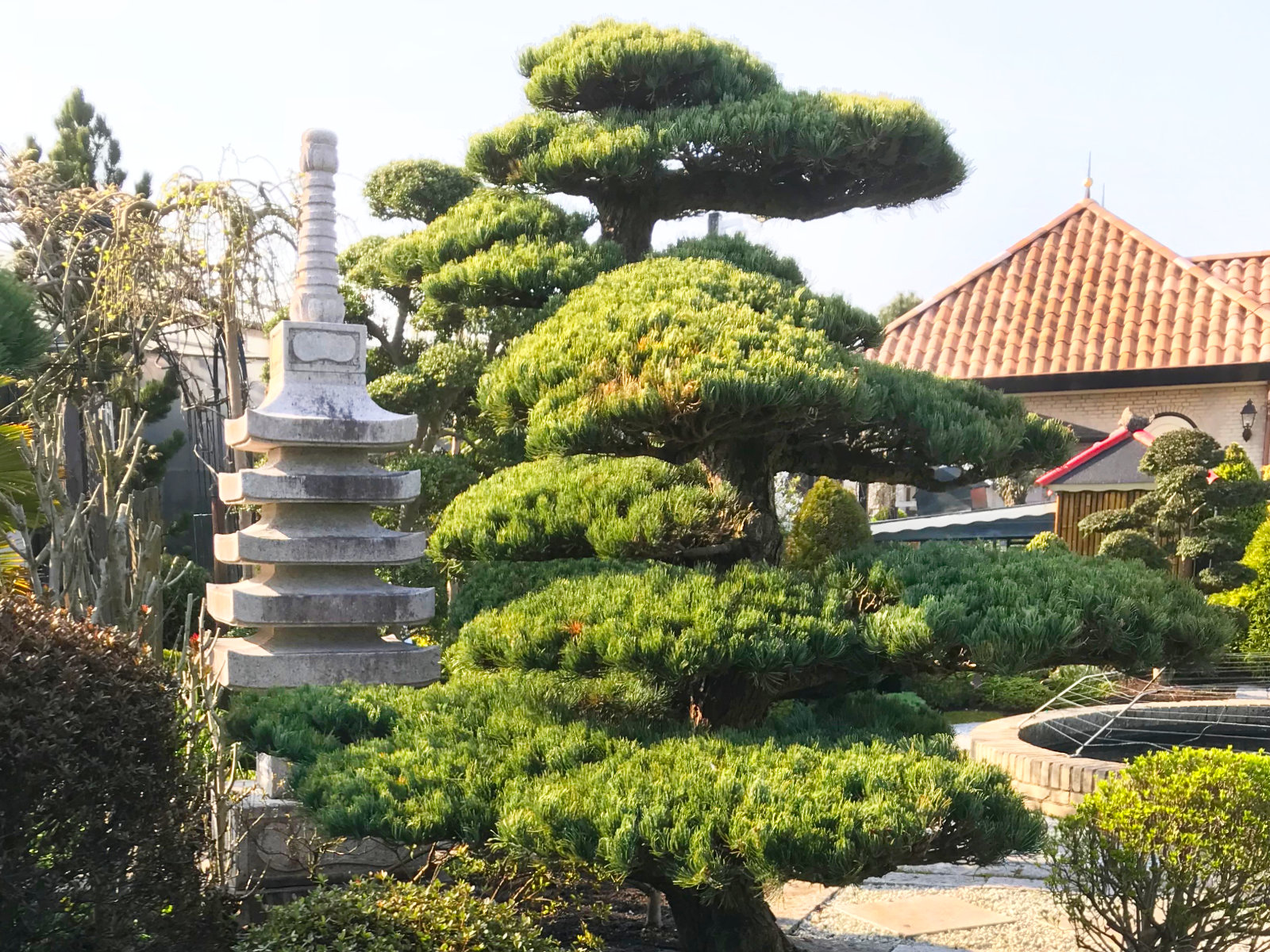 japanse pagode tuin