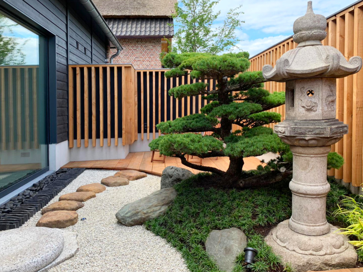 Japanese Garden Landscaping Wellness Onsen