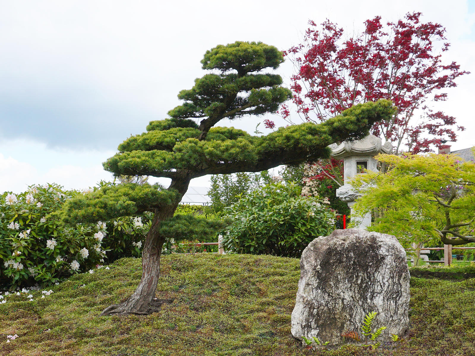 sakura gardens